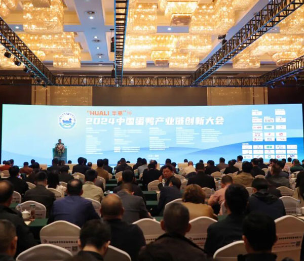"التكنولوجيا تدفع التنمية، والابتكار يشكل المستقبل | هوالي يناقش معك سلسلة صناعة بيض البط"