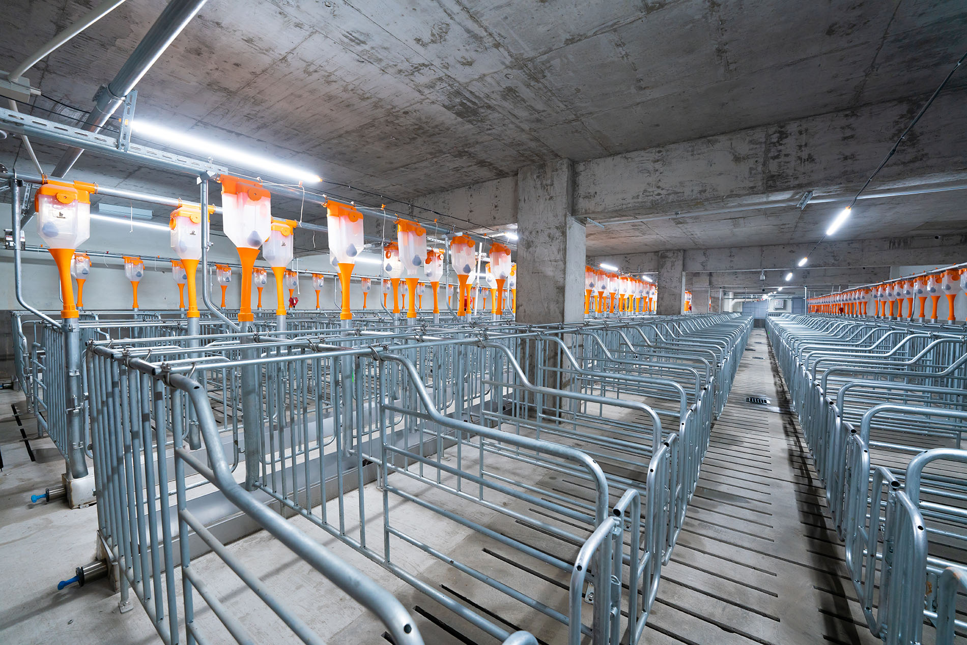 مشروع Aonong 10,000 Sos Farm EPC