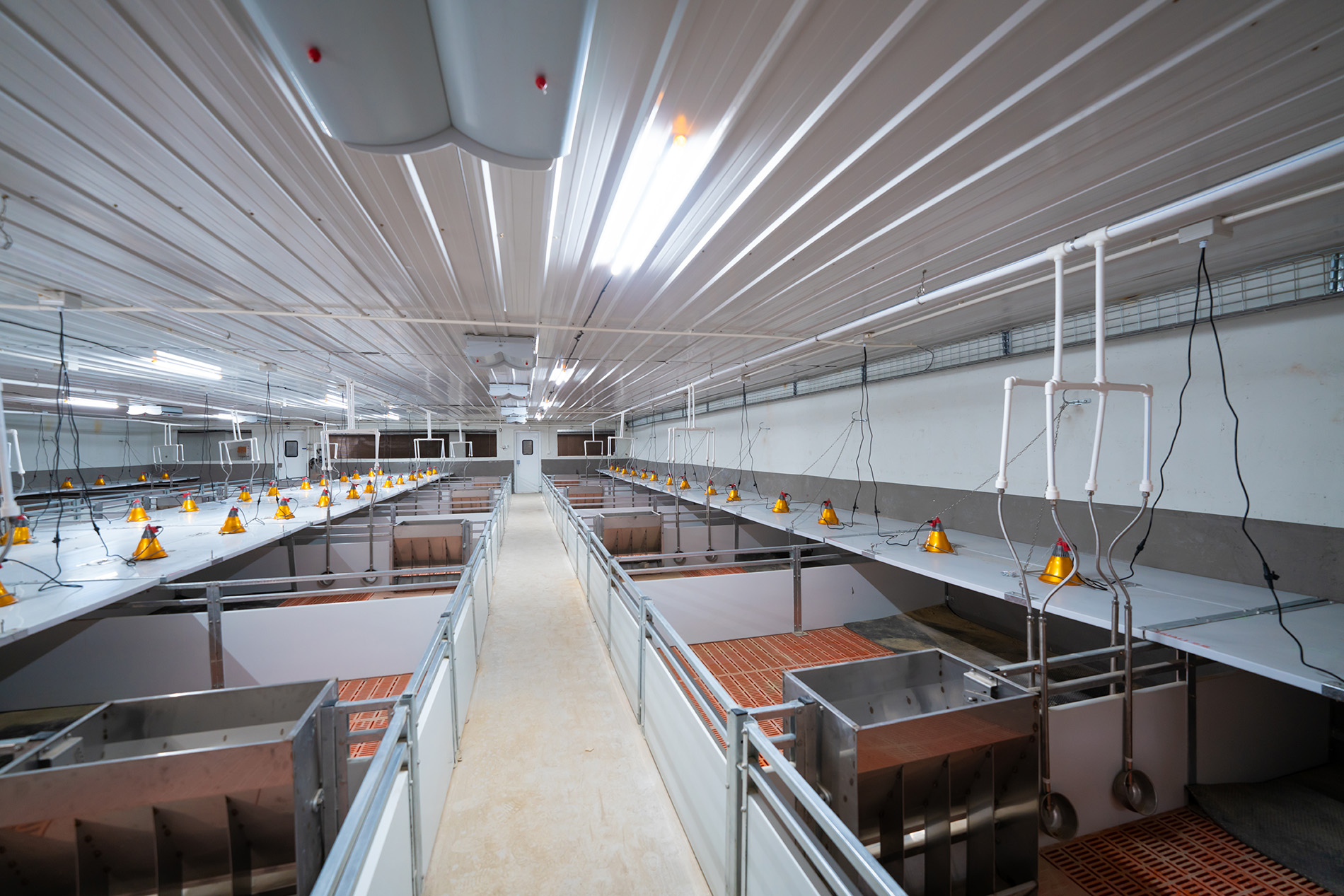 مشروع Aonong 10,000 Sos Farm EPC